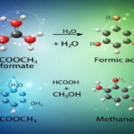 HCOOCH CH2 H2O: Properties, Uses, and Applications of Ethylene Glycol Monoformate