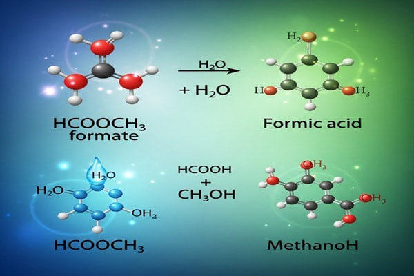HCOOCH CH2 H2O: Properties, Uses, and Applications of Ethylene Glycol Monoformate